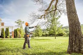 How Our Tree Care Process Works  in  Palos Heights, IL