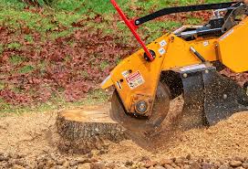 Best Fruit Tree Pruning  in Palos Heights, IL