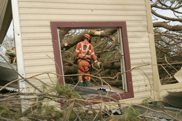 Best Seasonal Cleanup (Spring/Fall)  in Palos Heights, IL